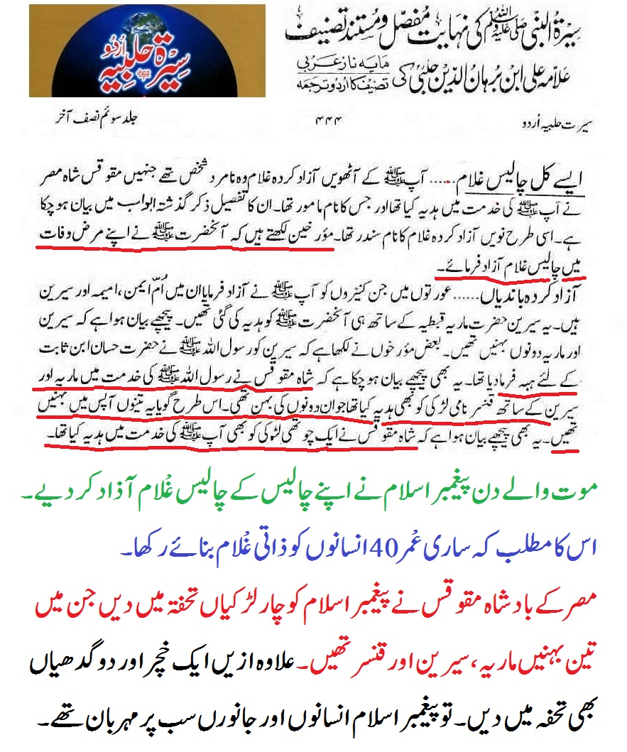 Mufti Abu Kabsha tweet media