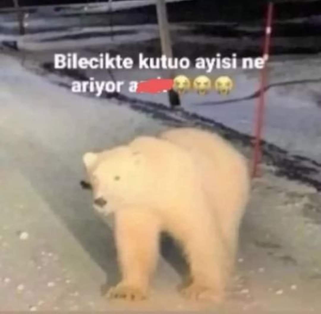 Efe tweet media