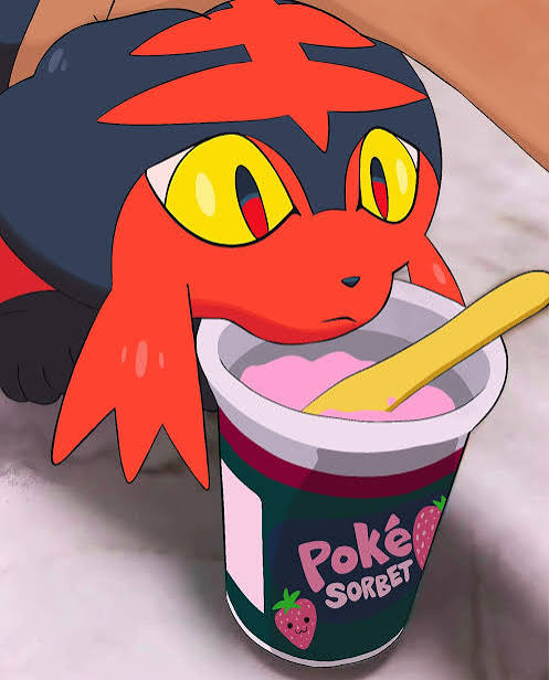 Littens tweet media