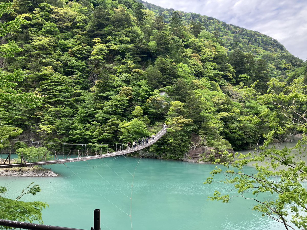 雨 tweet media