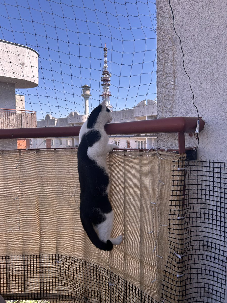 Спортсмен