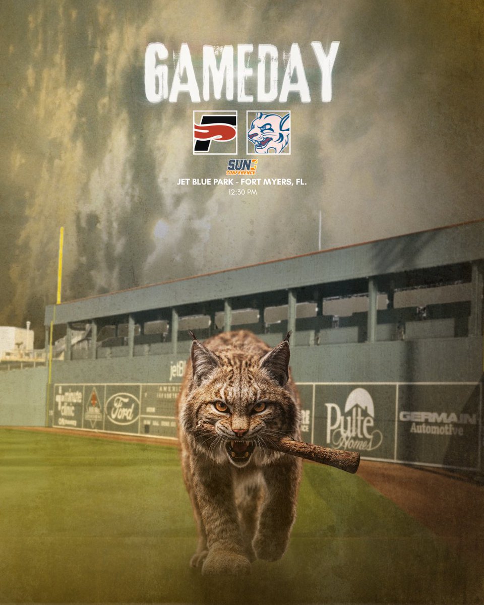 STU Baseball tweet media