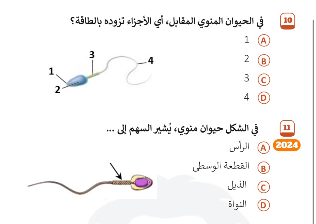 farah tweet media