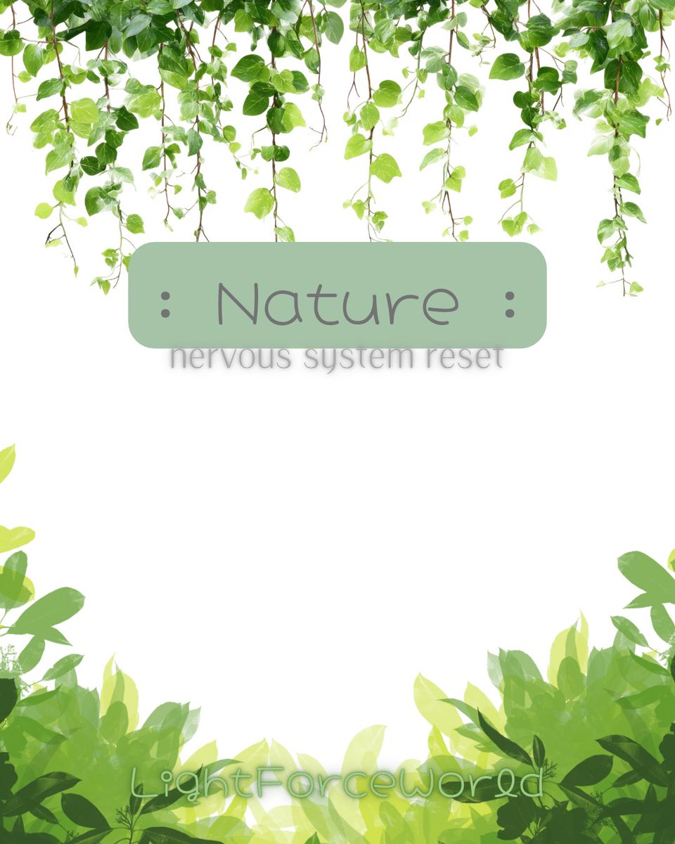 lightforceworld's tweet image. #sunshine #lifebuzz #relaxed #rerooted #lightforceworld
