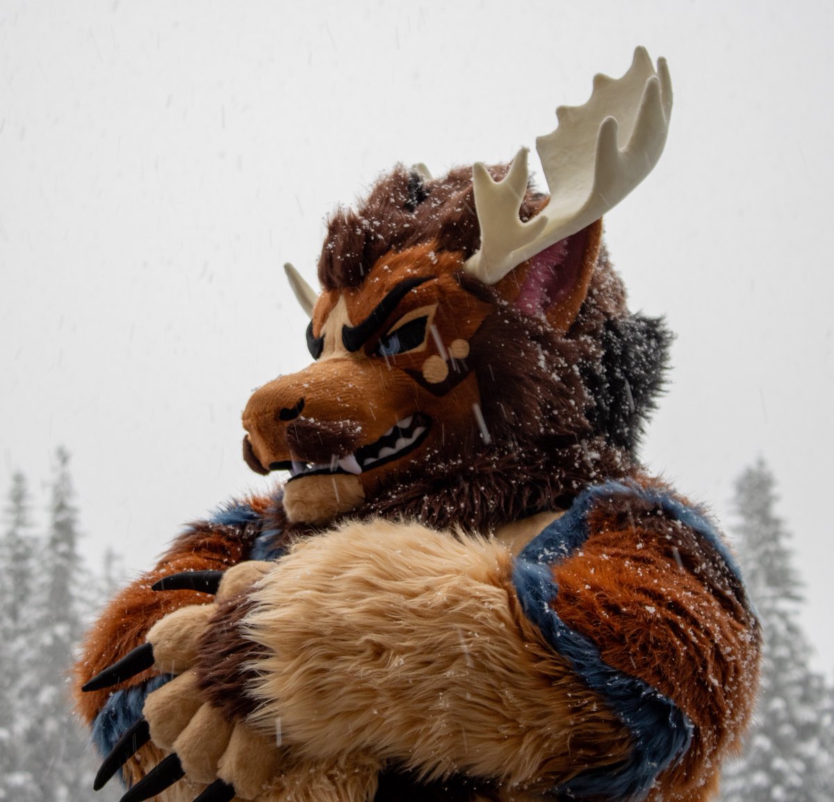 Diffuse Moose 🫎 ➡️ DenFur '26 tweet media