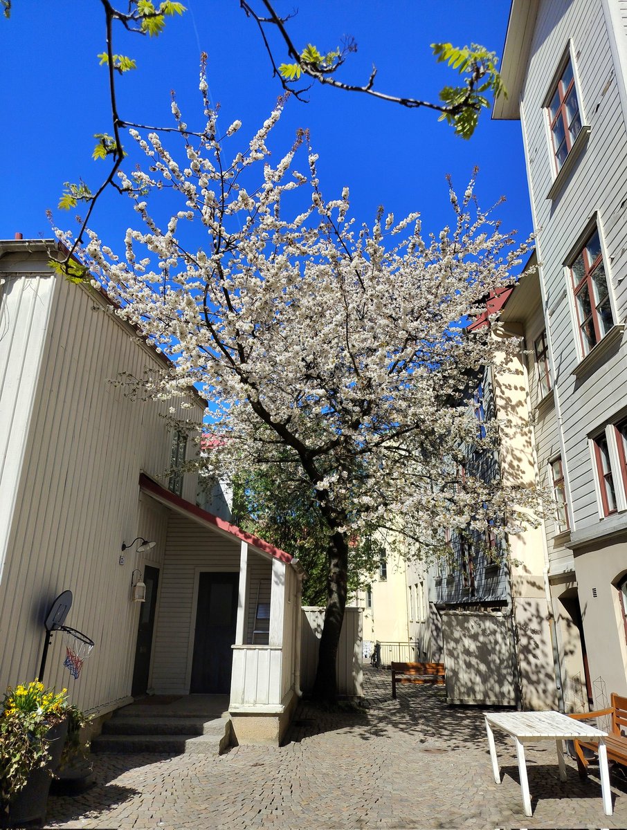 anthonyhunter69's tweet image. #spring is in the air 🙂

#skyline #hmdskyline @Nokia @NokiaMobile @HMDdevices #shotonhmd #shotonskyline @teampureview @NokiamobBlog #nokia #photography #phoneography #panoramamode #shotonnokia #nokiamobile