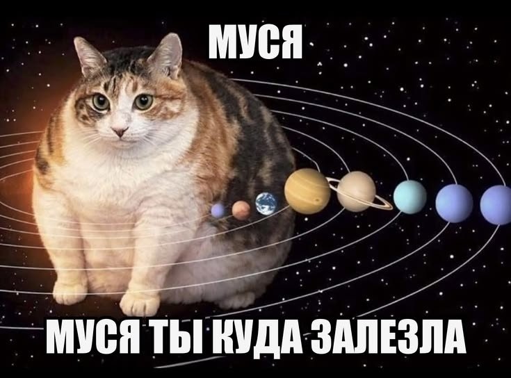 🇷🇺 Эрозия почвенного покрова 🇷🇺 tweet media