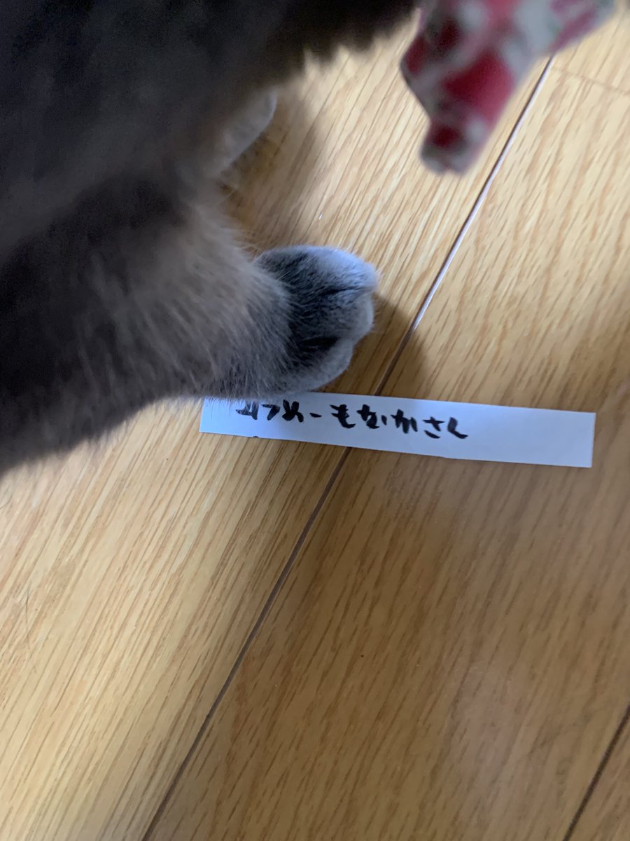 チンムギ tweet media