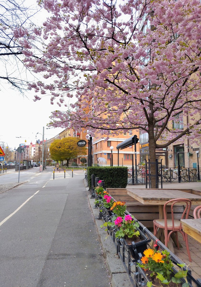 anthonyhunter69's tweet image. The #spring street 🙂

#skyline #hmdskyline @Nokia @NokiaMobile @HMDdevices #shotonhmd #shotonskyline @teampureview @NokiamobBlog #nokia #photography #phoneography #panoramamode #shotonnokia #nokiamobile #city