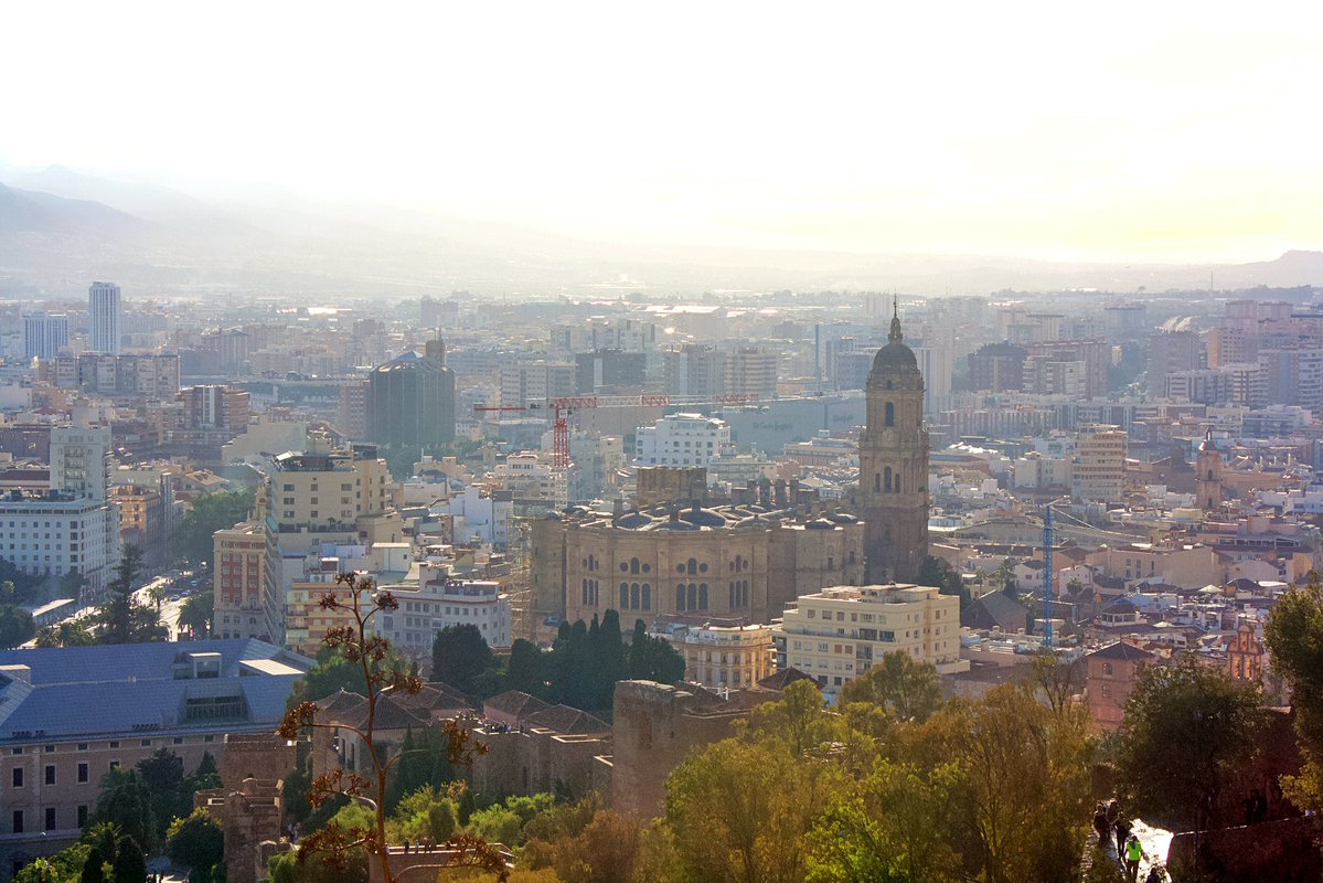 MisterBongoman's tweet image. Top
#malaga #spain #españa #city #travel