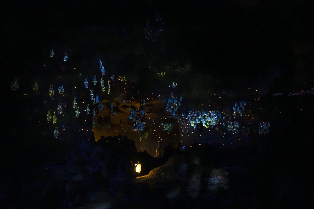 DisneyParks's tweet image. The Wildest Ride in the Wilderness 🏜️  A look at the updated Big Thunder Mountain Railroad re-opening today at Magic Kingdom 🏰