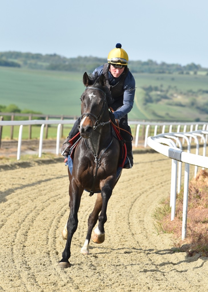 Value Racing Club tweet media