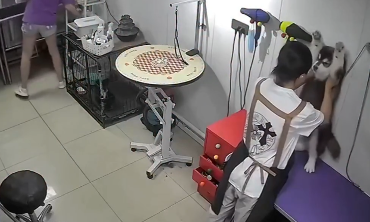 Megavision_ve's tweet photo. AÚN FALTA MIMARLO: CÁMARAS REVELAN LA TIERNA DEMORA PARA ENTREGAR A UN PERRO

Una mujer en China dejó a su mascota en una guardería canina y comenzó a quejar...

https://t.co/2JclU9q0pe

#Noticias https://t.co/oJNepmsmTR