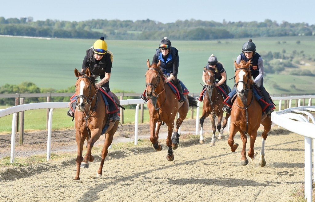 Value Racing Club tweet media