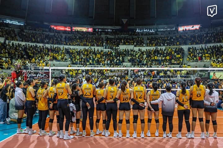 usttigers_'s tweet photo. To all young volleyball players- beyond academics, this is what UST intangibles can offer:

A community that shows up, loud and proud, through every win and every loss.

A sea of yellow that will always cheer for you, stand by you, and carry you through. 

#GoUSTE 💛
📸 ctto https://t.co/QT5h90OLCk