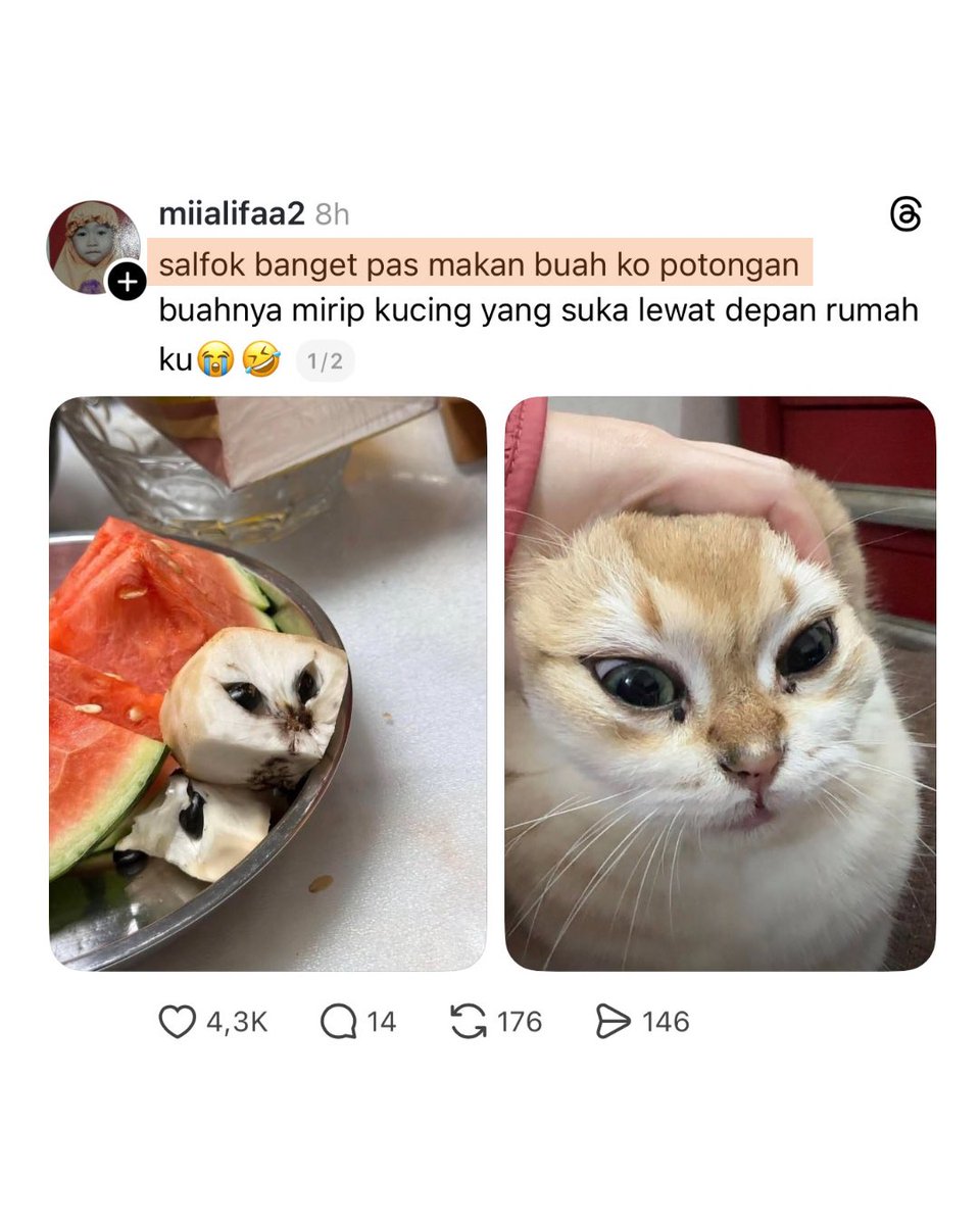 txt dari gajelas tweet media