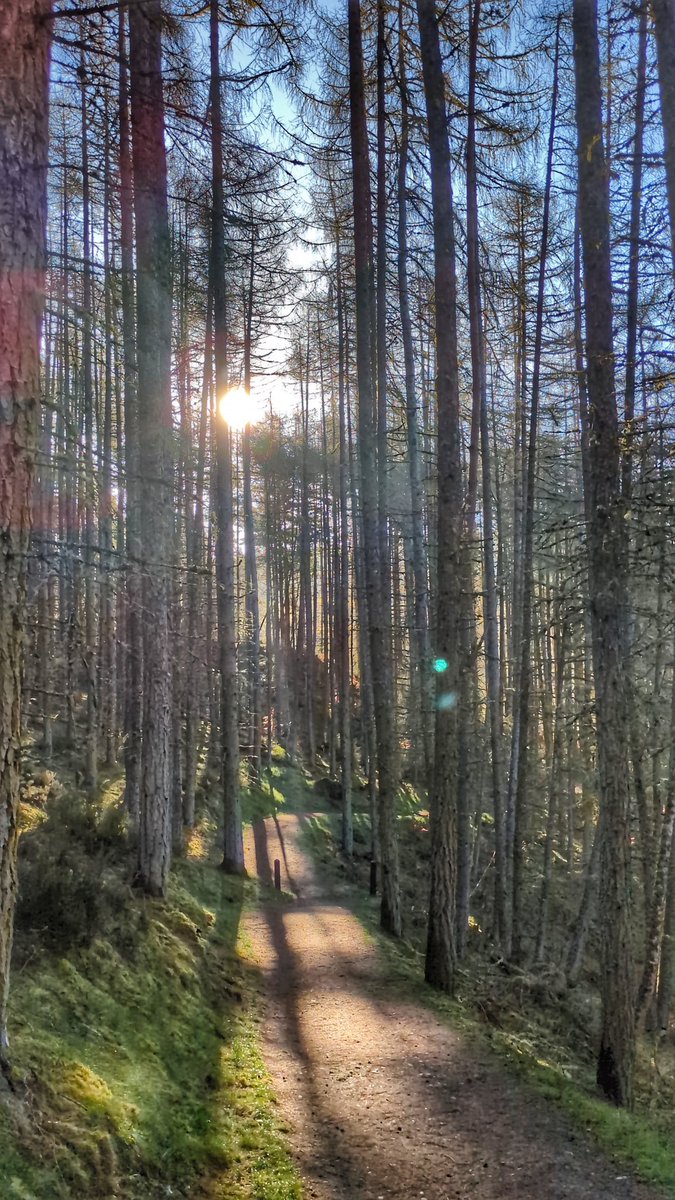 TheHebViking's tweet image. April in pictures Part Thirty four 
#april
#photography 
#torqadventures
#Scotland 
#VisitScotland