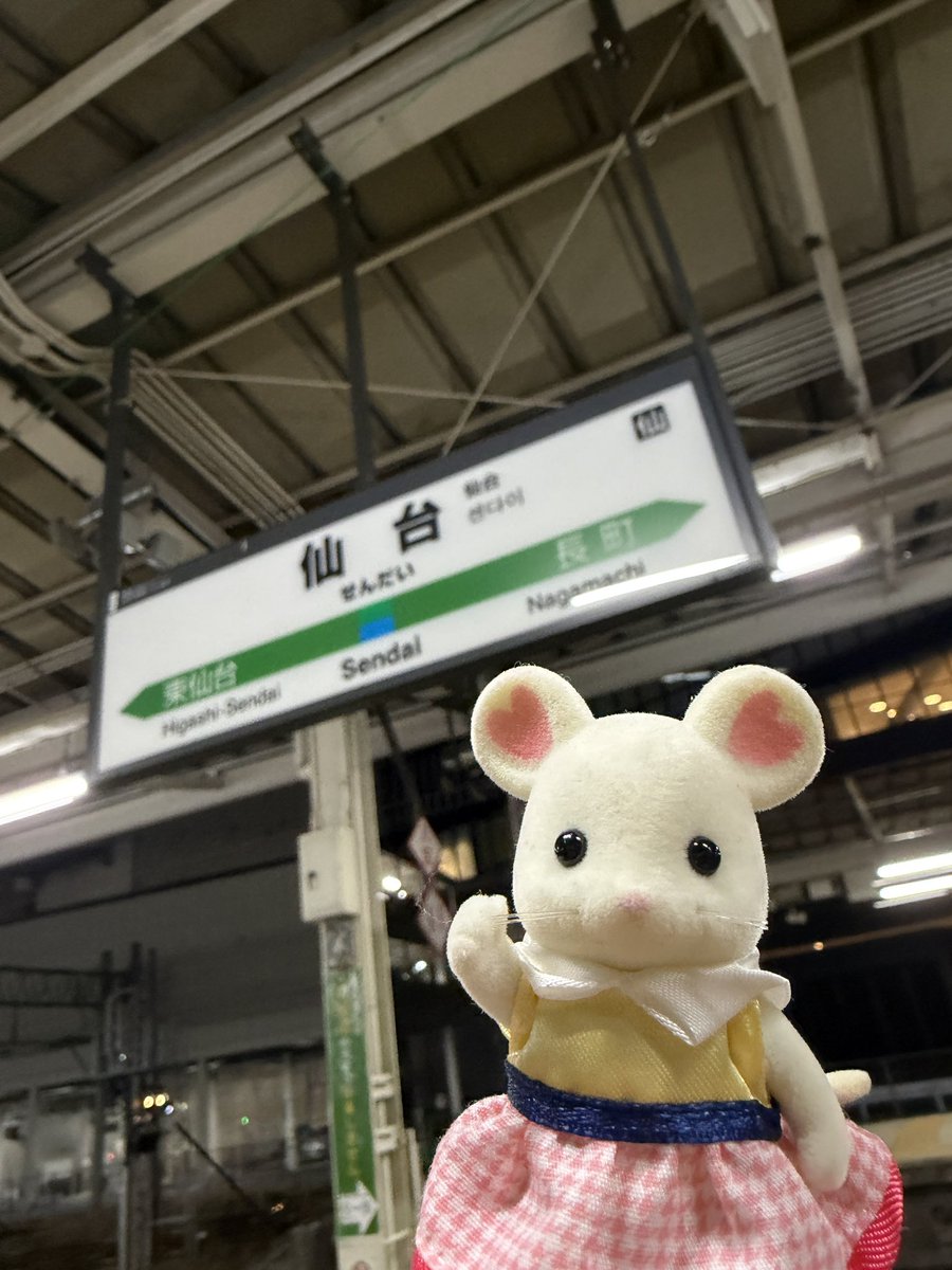 佐藤 ひとみ tweet media