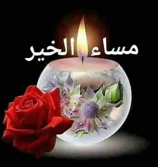 النهر الدافي tweet media