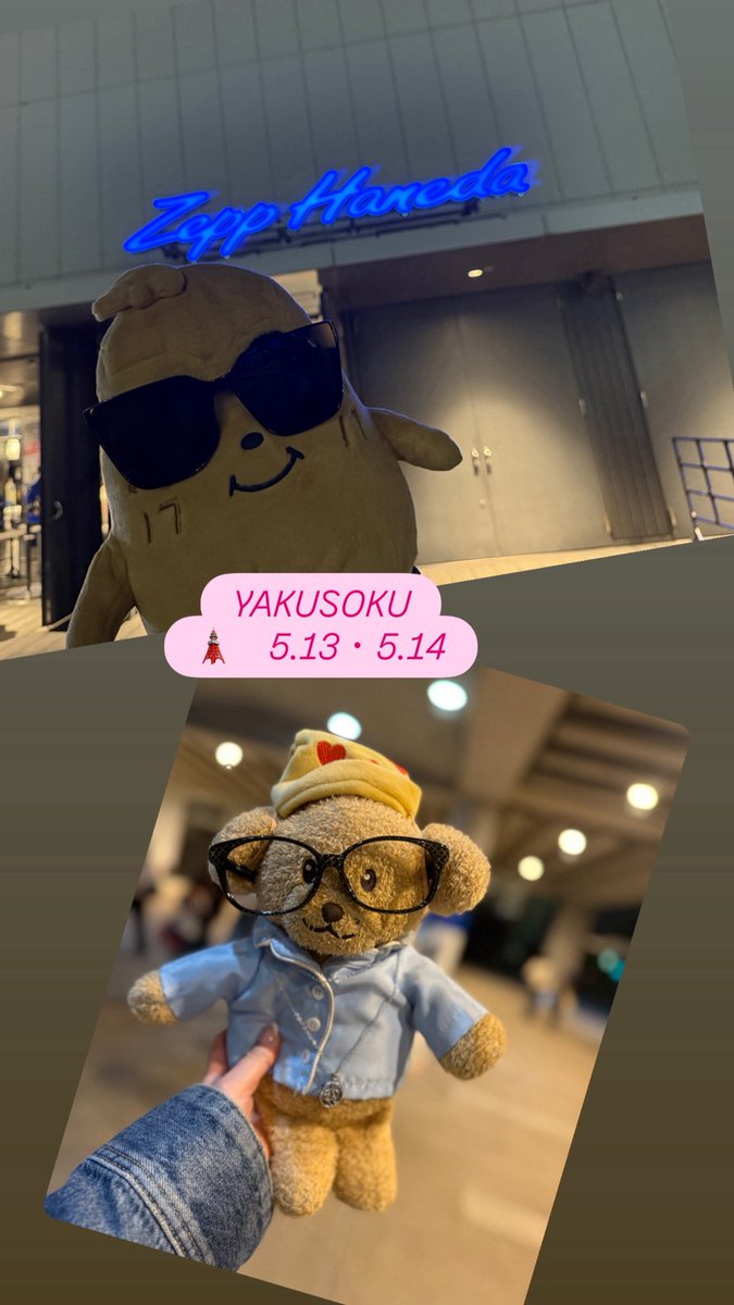 ちゃん♡ゆり🐶🍕👼 tweet media