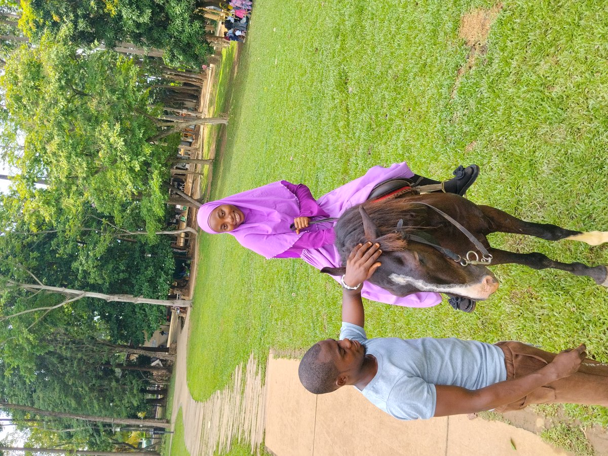 Tadexprof tweet media