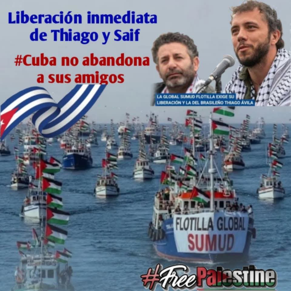 Lis Cuesta tweet media