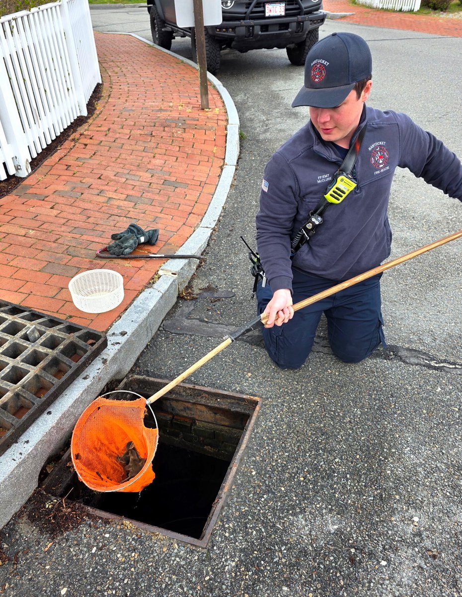 Nantucket Current tweet media
