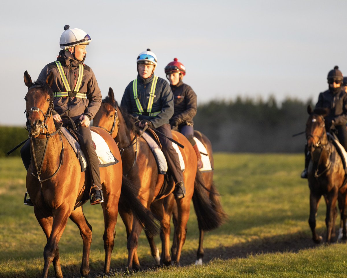 Archie Watson Racing tweet media
