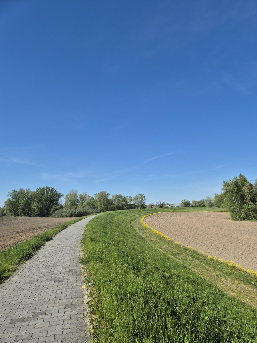 Lovely day in Racibórz. 25° 🇵🇱❤️☀️