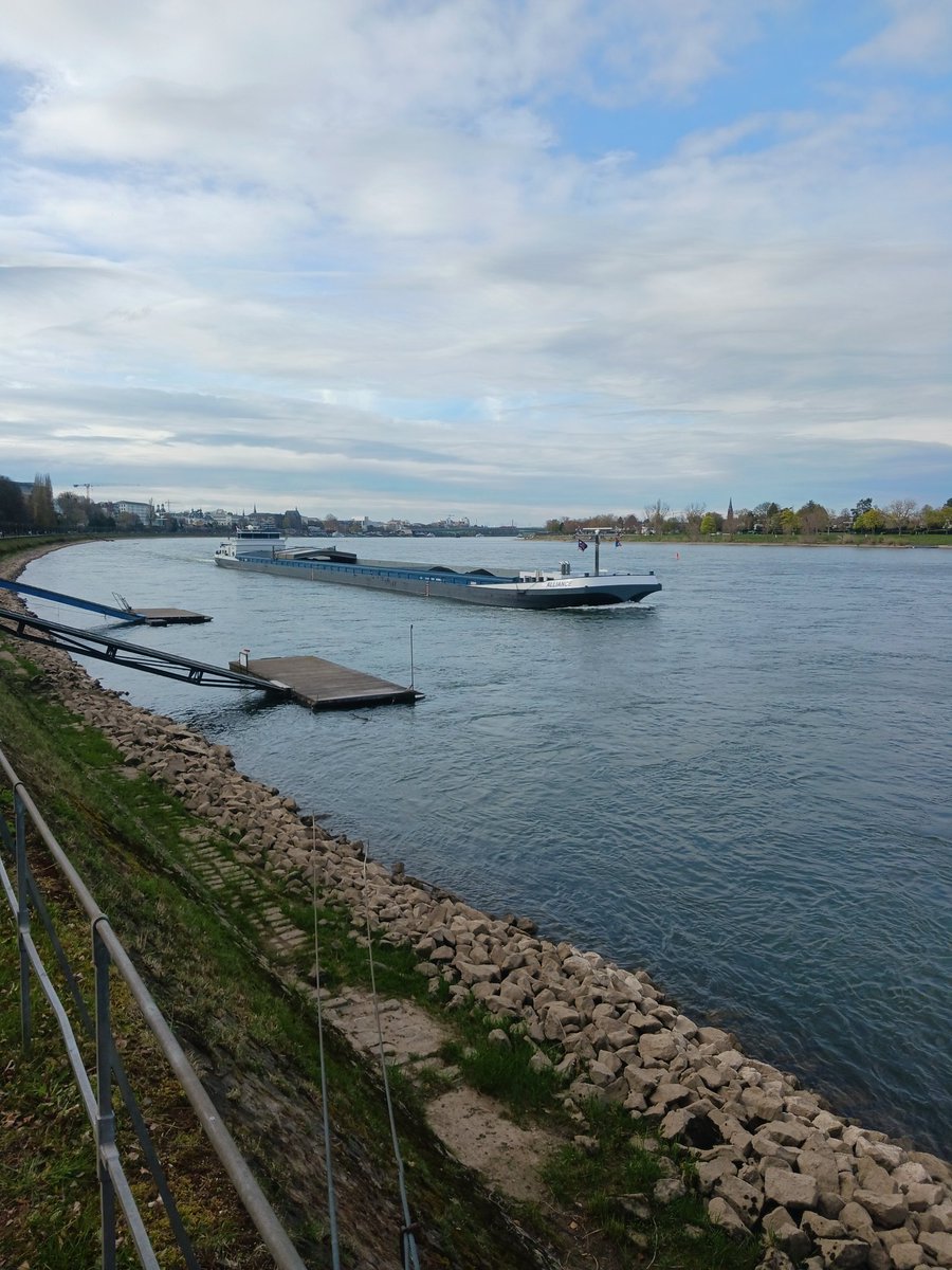 Rheinpegel's tweet image. Hallo #Alliance #Schiff #Bonn #Rhein