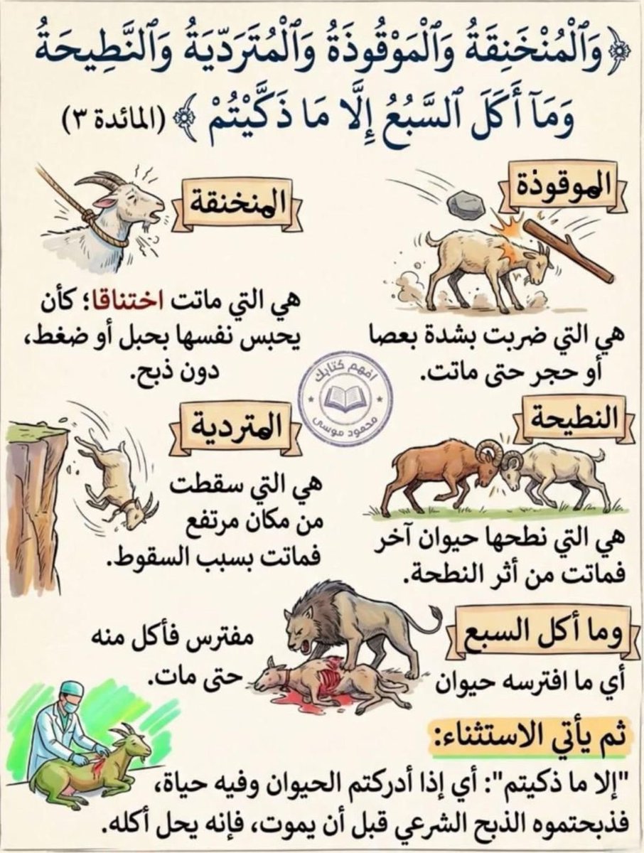 سعيد بن محمد القرني tweet media
