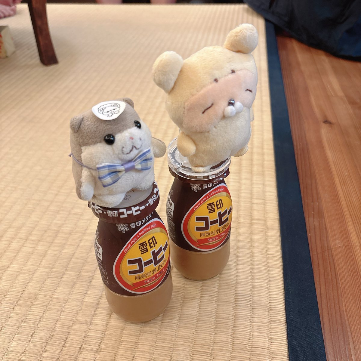 う〜たん tweet media