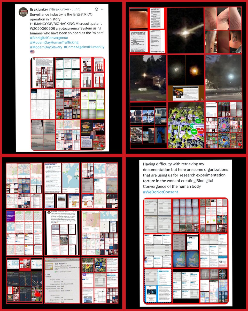 Lisa Davis tweet media