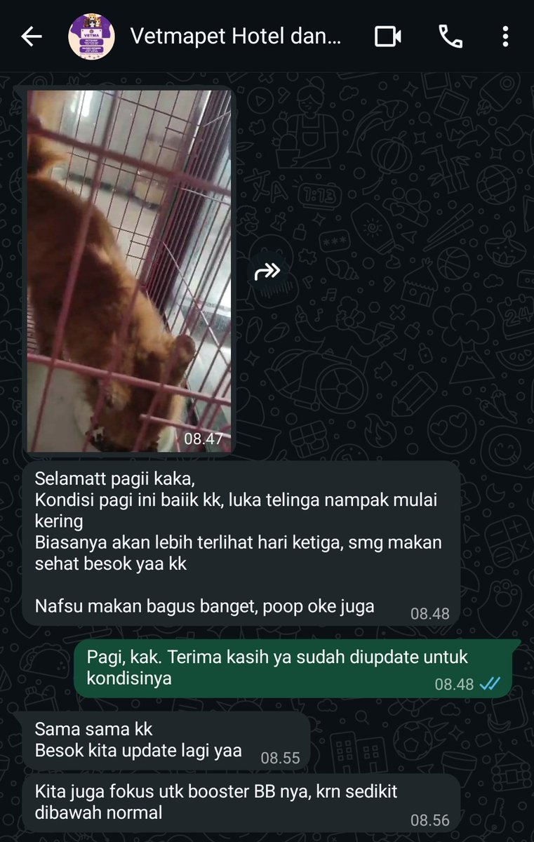 didi 🪸🦦 tweet media