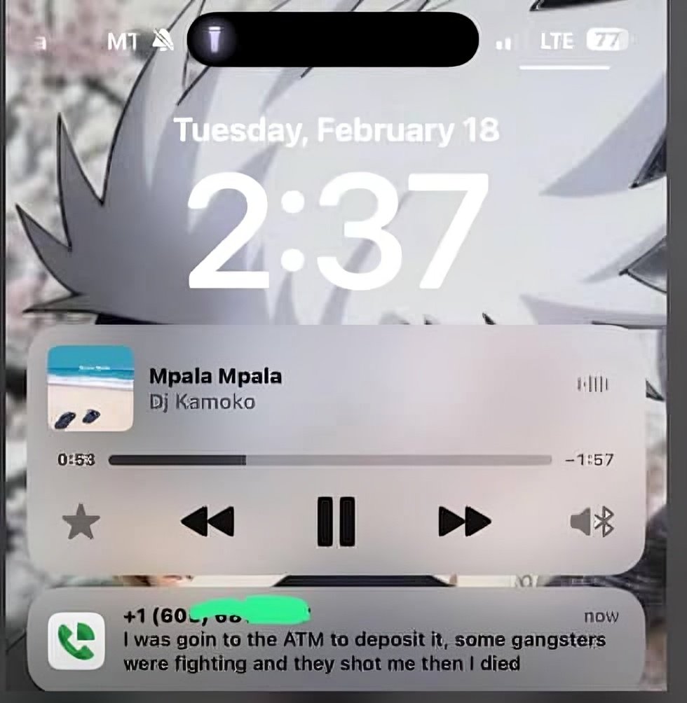segzybobo tweet media