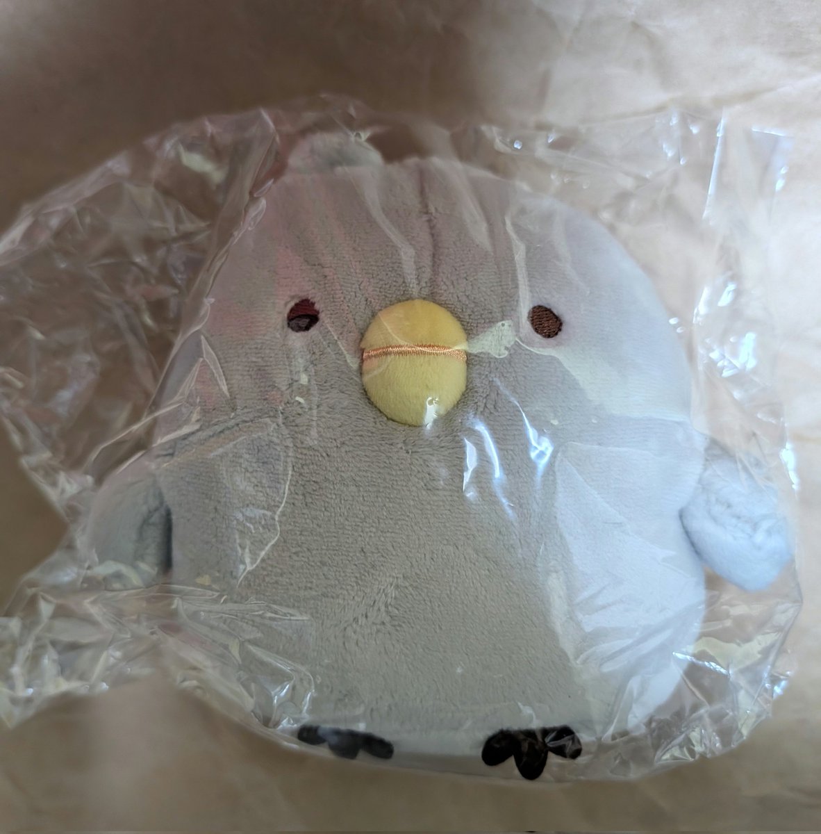 エトセトラ tweet media