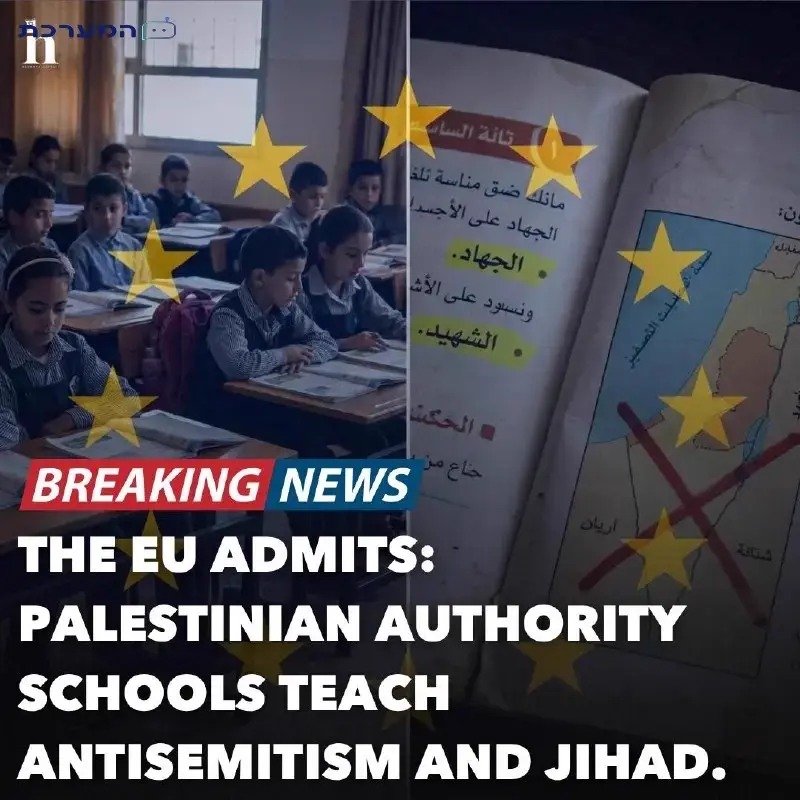 Chaya Eitan tweet media