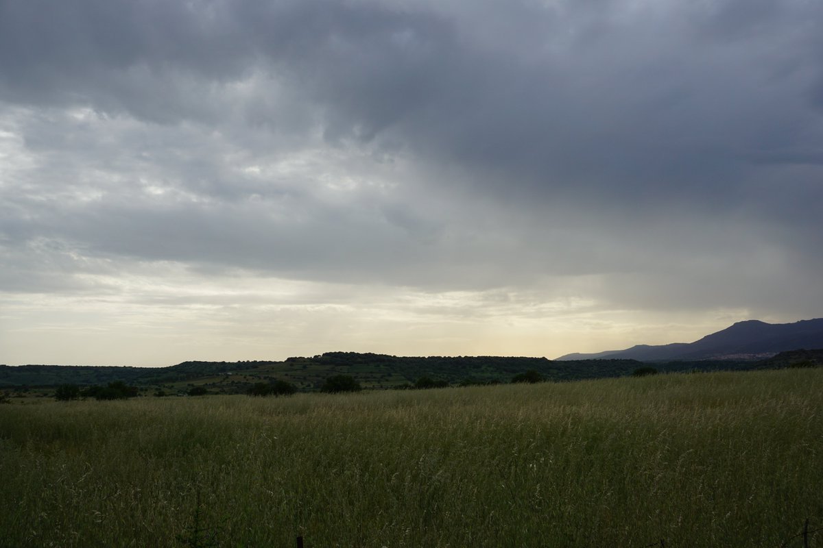 zagu tweet media
