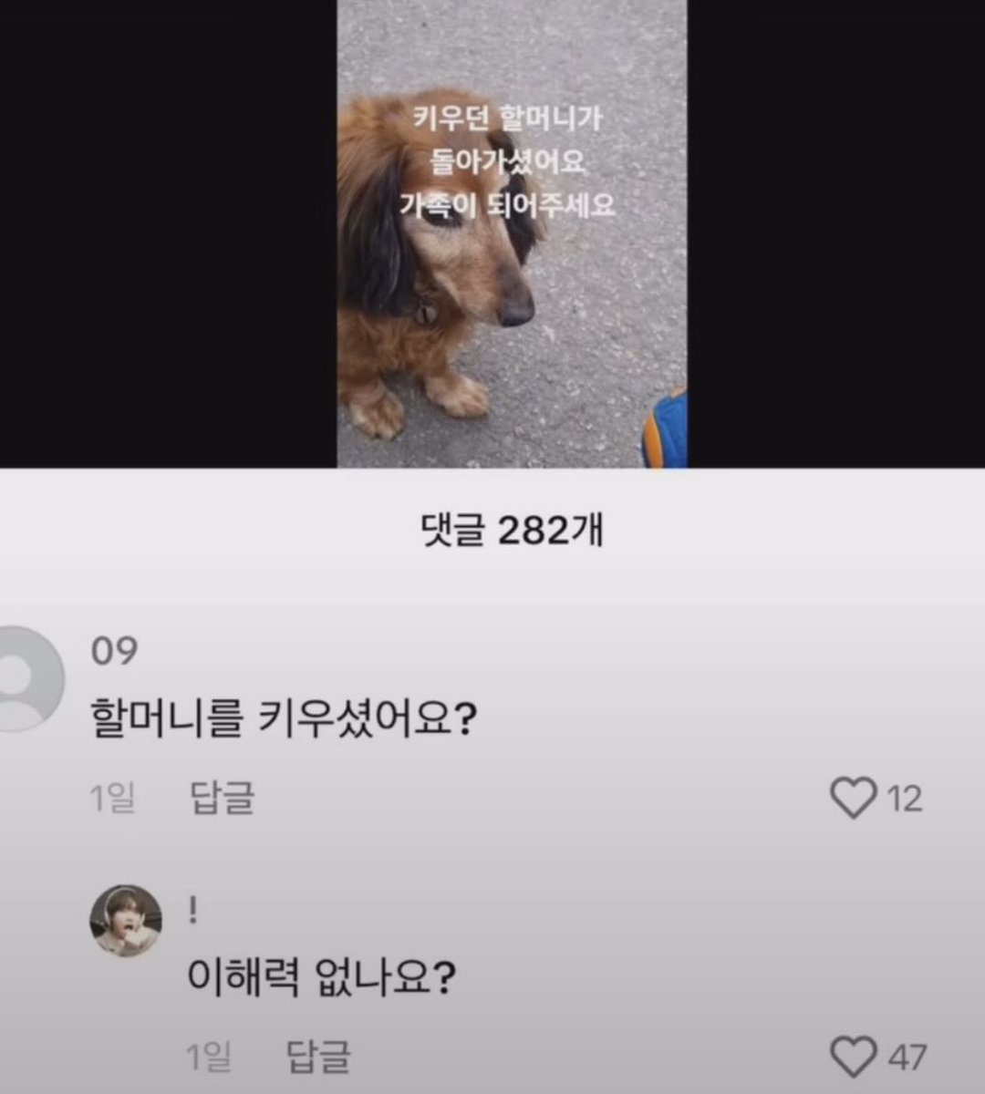 잠급 tweet media