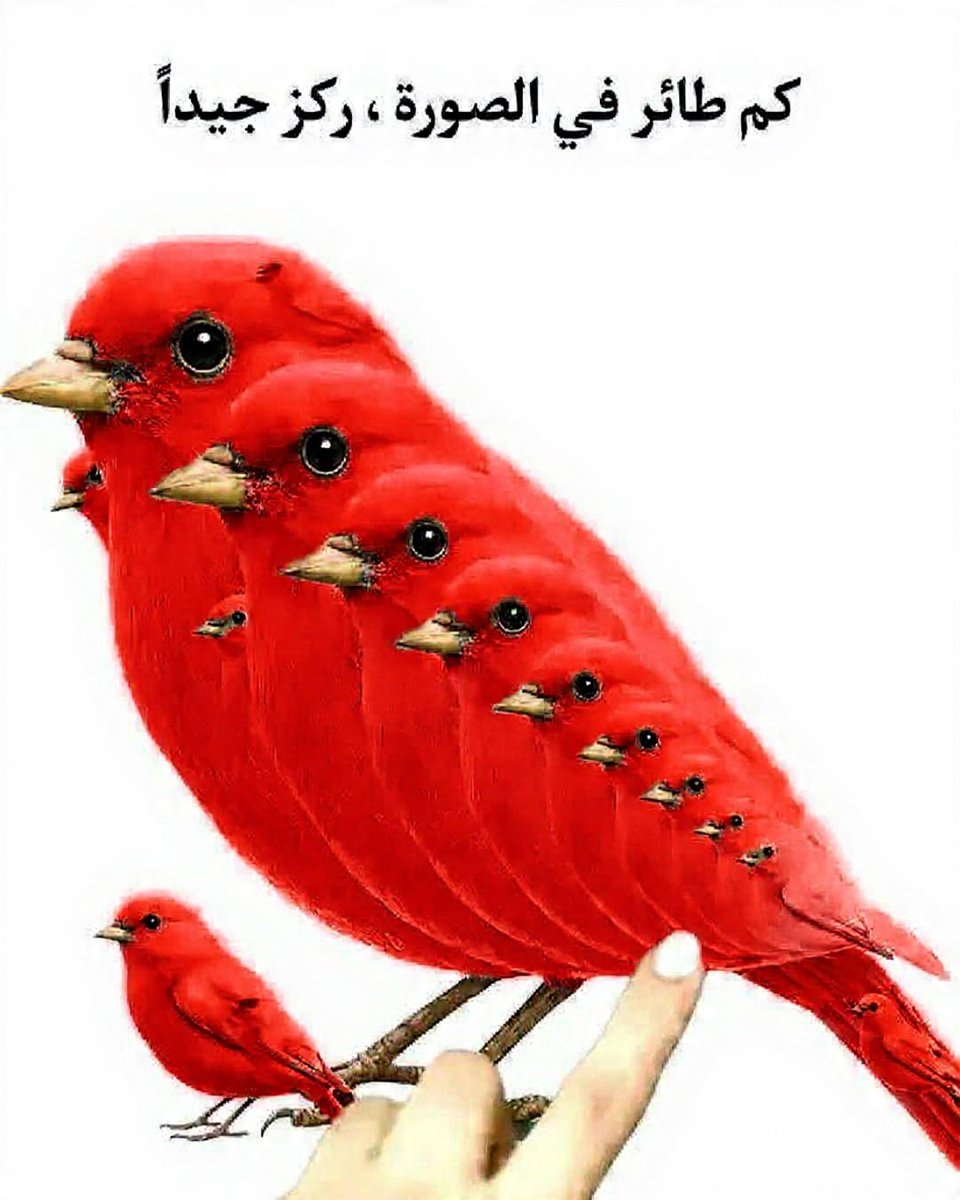 Abu Nadin tweet media