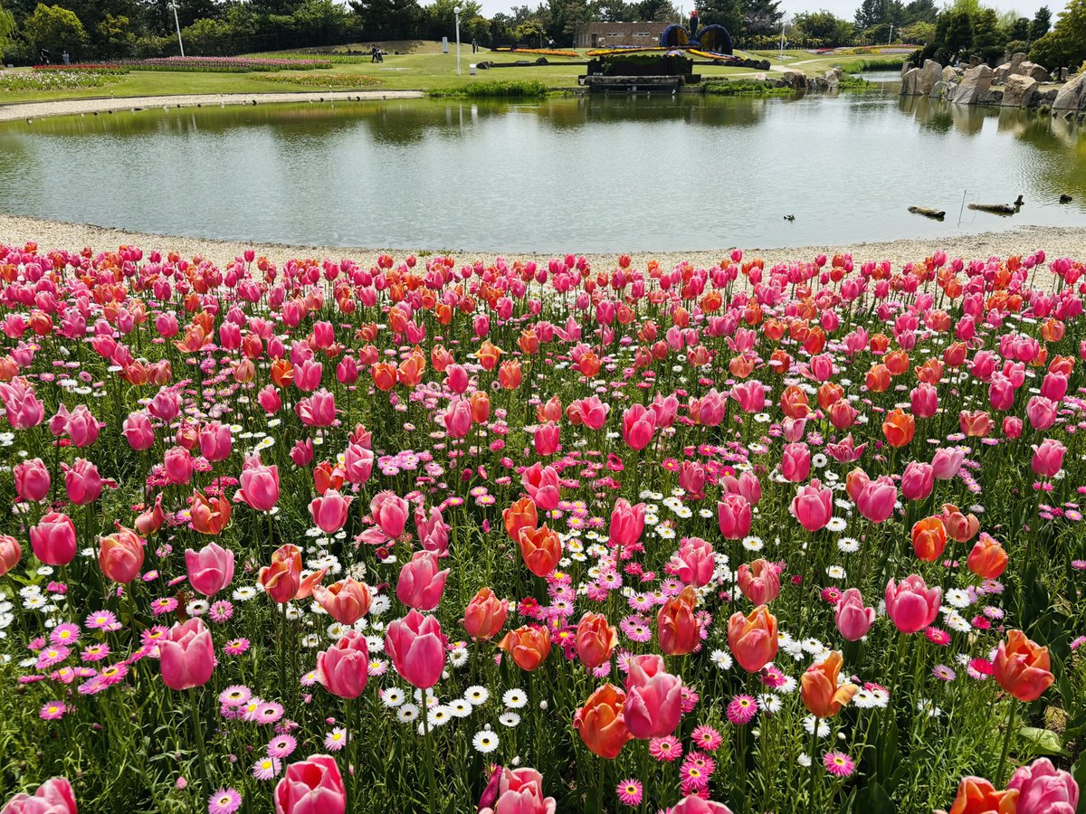 Blooming For Someone tweet media