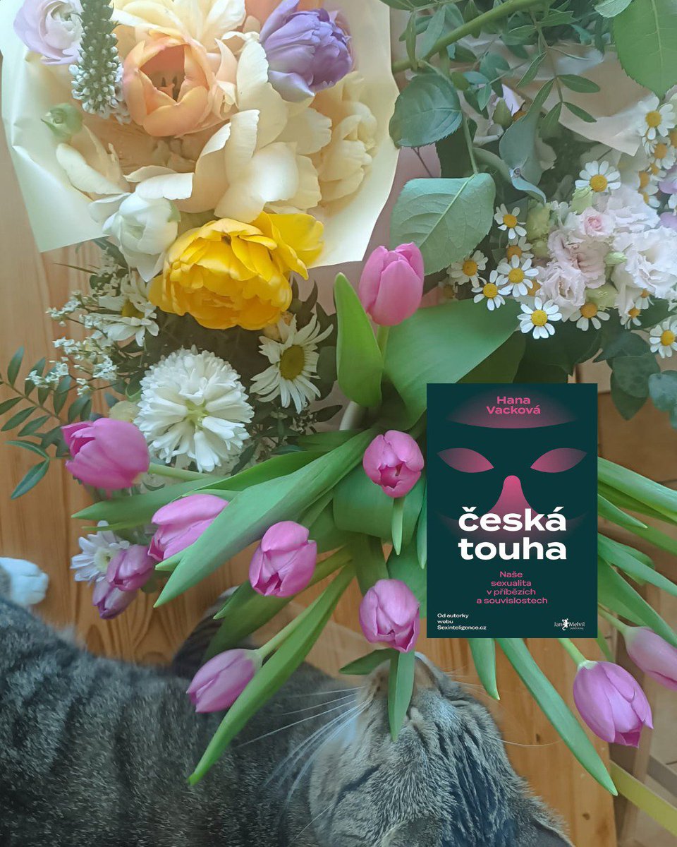 Hana Vacková SexInteligentní tweet media