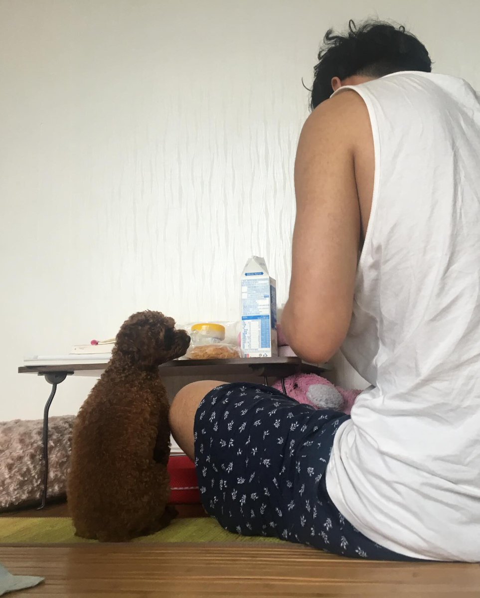 이동수 아카이브 tweet media