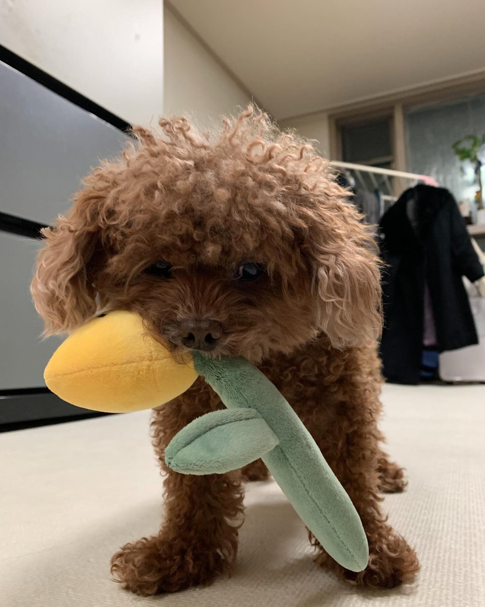 이동수 아카이브 tweet media