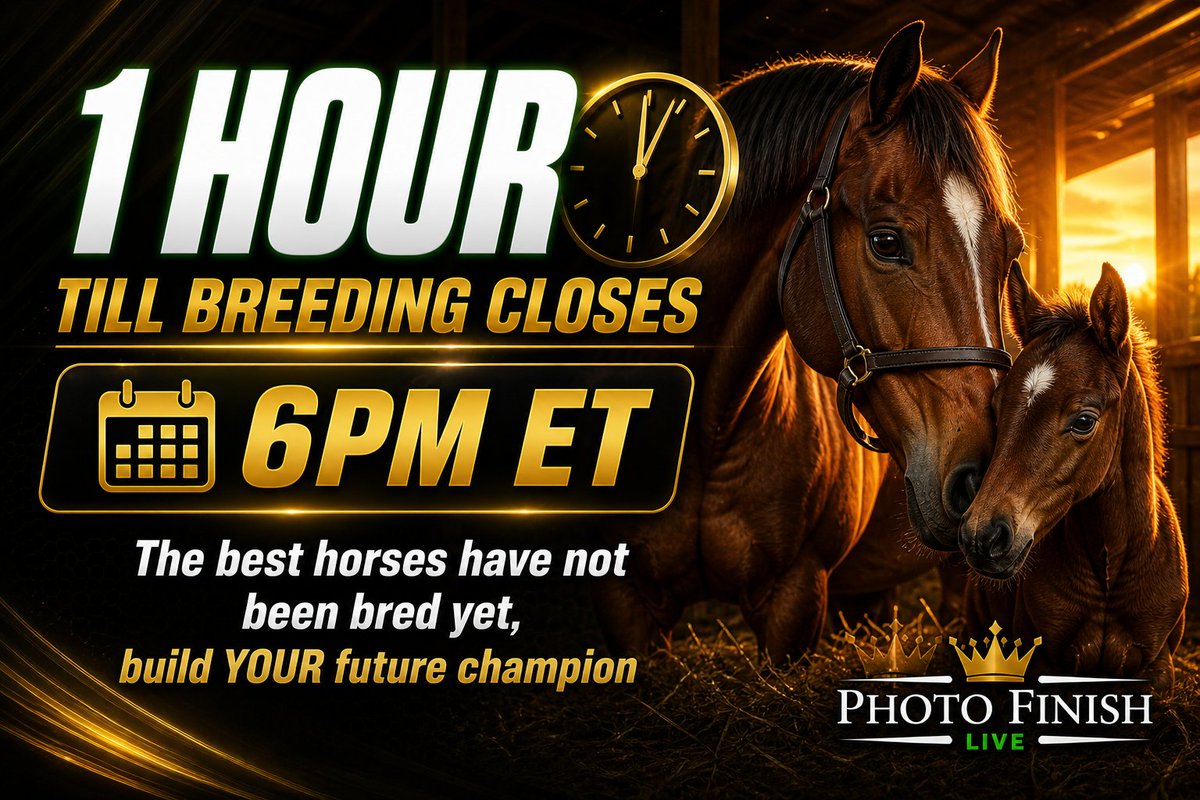 Photo Finish™ LIVE 🐎 Virtual Horse Racing tweet media