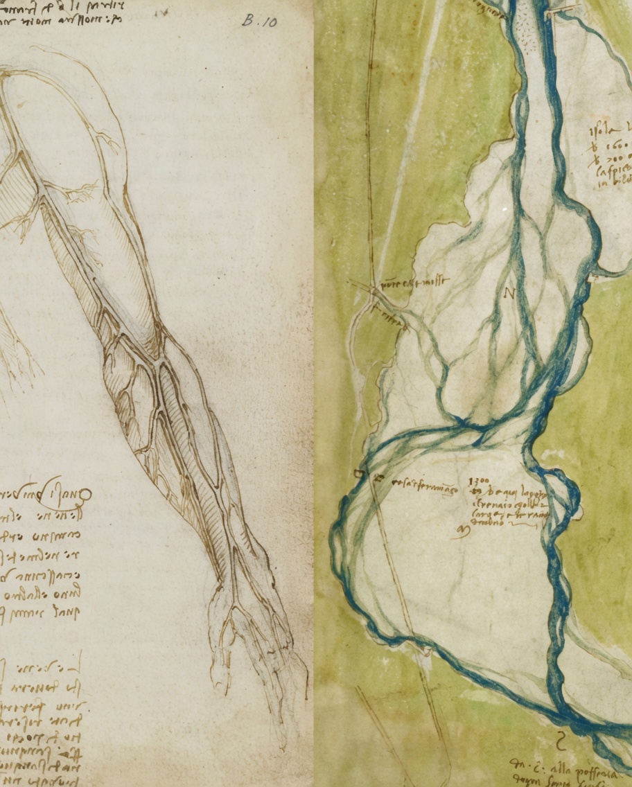 Leonardo da Vinci had one of the most profound ideas in history.

While dissecting human bodies with his unmatched curiosity, Leonardo began noticing striking parallels between our anatomy and the natural world around us.

He saw blood vessels branching like river tributaries. He