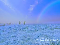 ヒーロ tweet media