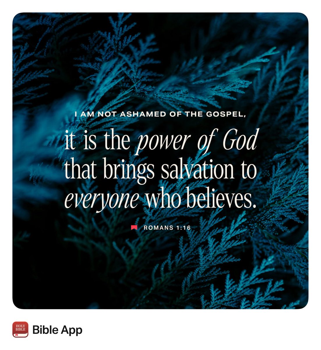 Nanette Gray tweet media