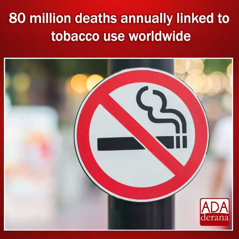 adaderana's tweet image. 80 million deaths annually linked to tobacco use worldwide 

Read more: adaderana.lk/news.php?nid=1…

#lka #srilanka #adaderana #news #lanka #SriLankaNews #SriLanka