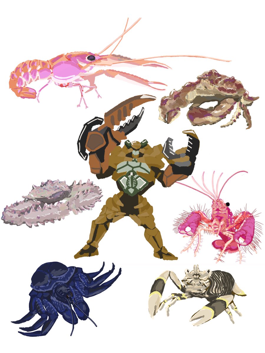 🦀🦀🦀 tweet media